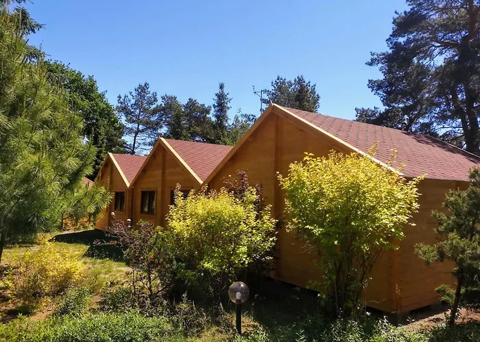 Apartment Eko W Osrodku Edukacji Ekologicznej W Krynicy Morskiej-piaski