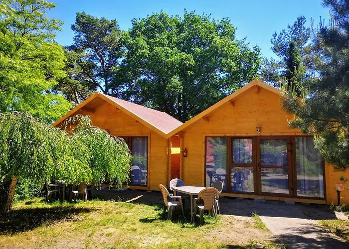 Eko W Osrodku Edukacji Ekologicznej W Krynicy Morskiej-piaski Krynica Morska